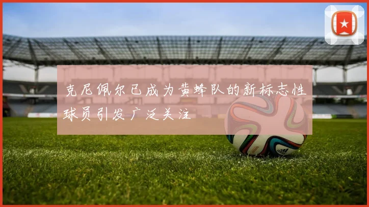 克尼佩尔已成为黄蜂队的新标志性球员引发广泛关注
