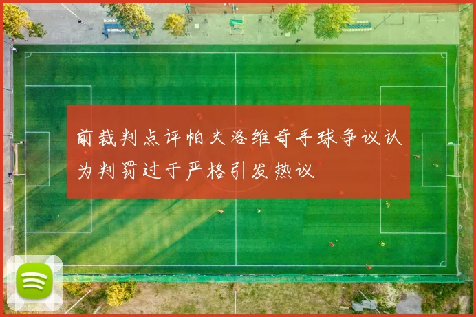 前裁判点评帕夫洛维奇手球争议认为判罚过于严格引发热议