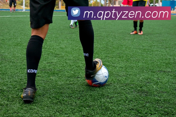 球派体育平台生态图